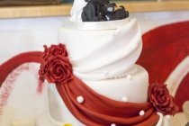 20140607_468_Hochzeit_Schneider_GEA