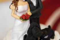 20140607_470_Hochzeit_Schneider_GEA