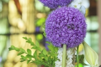 Hochzeitsstrauß_Blumendeko_010_wwwGUBERTde