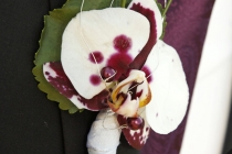 Hochzeitsstrauß_Blumendeko_084_wwwGUBERTde