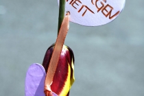 Hochzeitsfoto